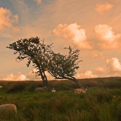 AG官方入口网址