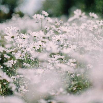 cq9电子游戏app手机app下载