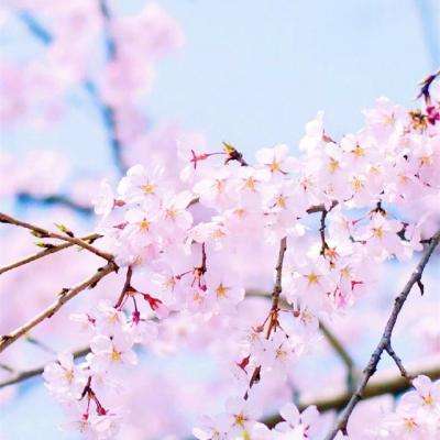 星空XK官方入口